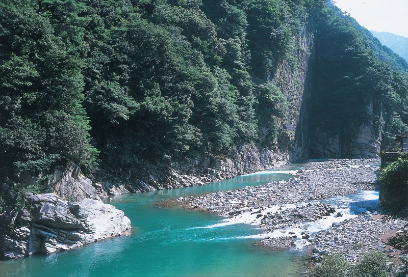 勝原園地
