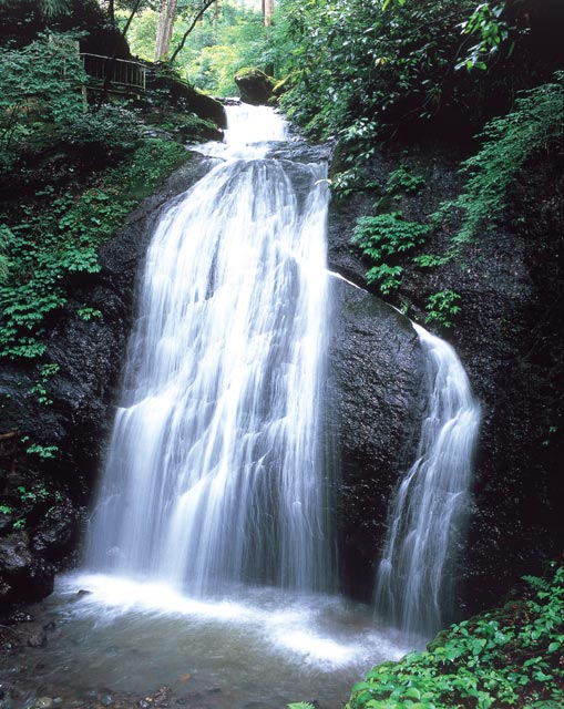 柳の滝（1不動滝