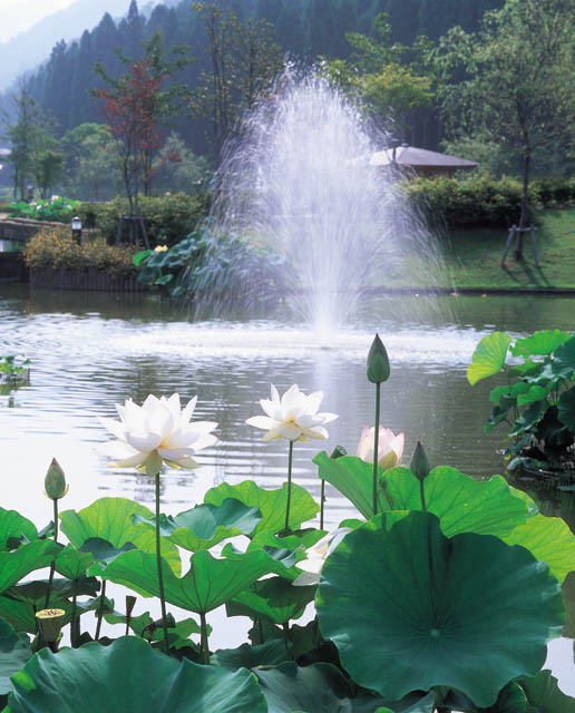 花はす公園
